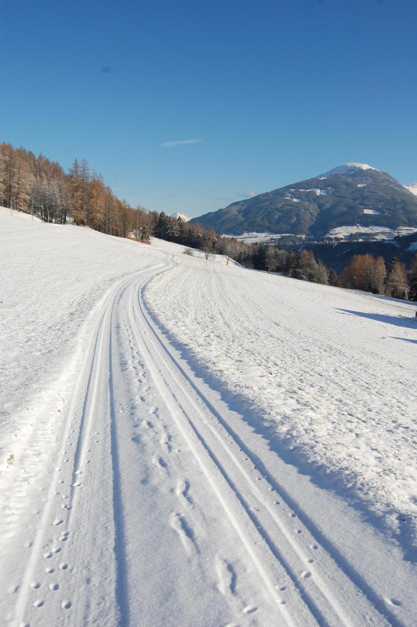 Ferienwohnungen Unterluimes Telfes im Stubai Exteriör bild